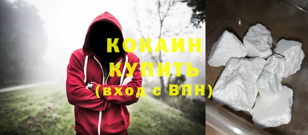 мдпв Бородино