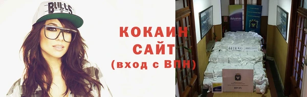 прущие крисы Богданович
