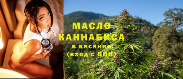 мдпв Бородино
