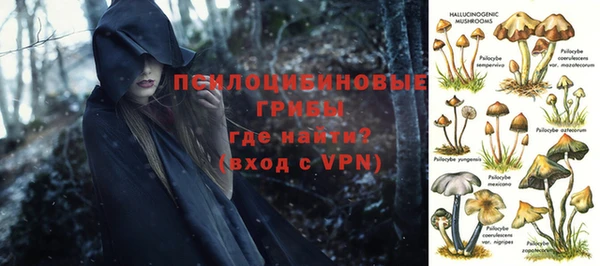 прущие крисы Богданович