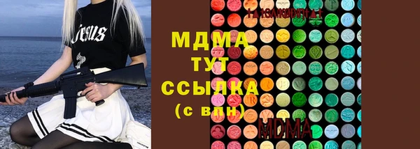 мдпв Бородино