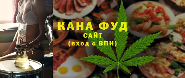 мдпв Бородино