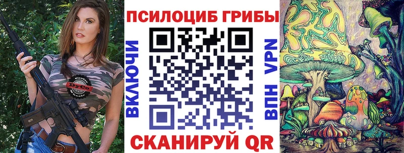 Псилоцибиновые грибы прущие грибы Бутурлиновка